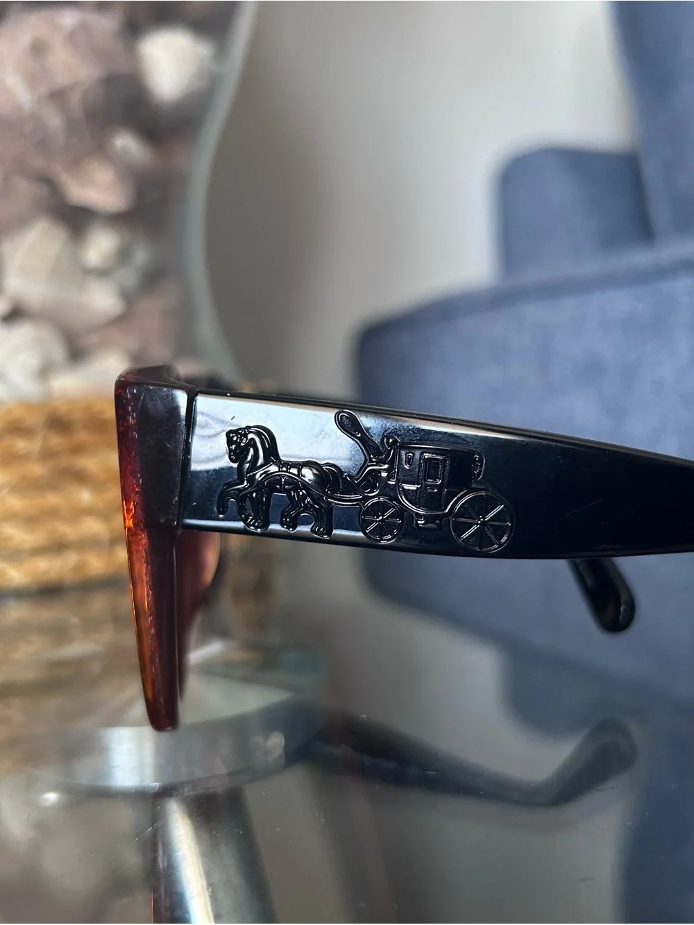 Coach Amber Saddle Glitter Sunglasses